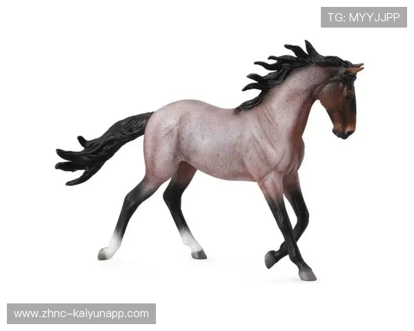 美国马术协会出版“Mustang Challenge”历史专著,记录赛事发展历程。,美国马术金牌