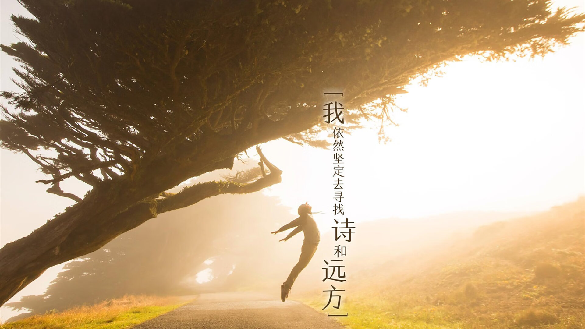 开云体育登录入口-女乒世界杯陈梦惊险逆转夺冠，乒乓球女子世界杯 陈梦